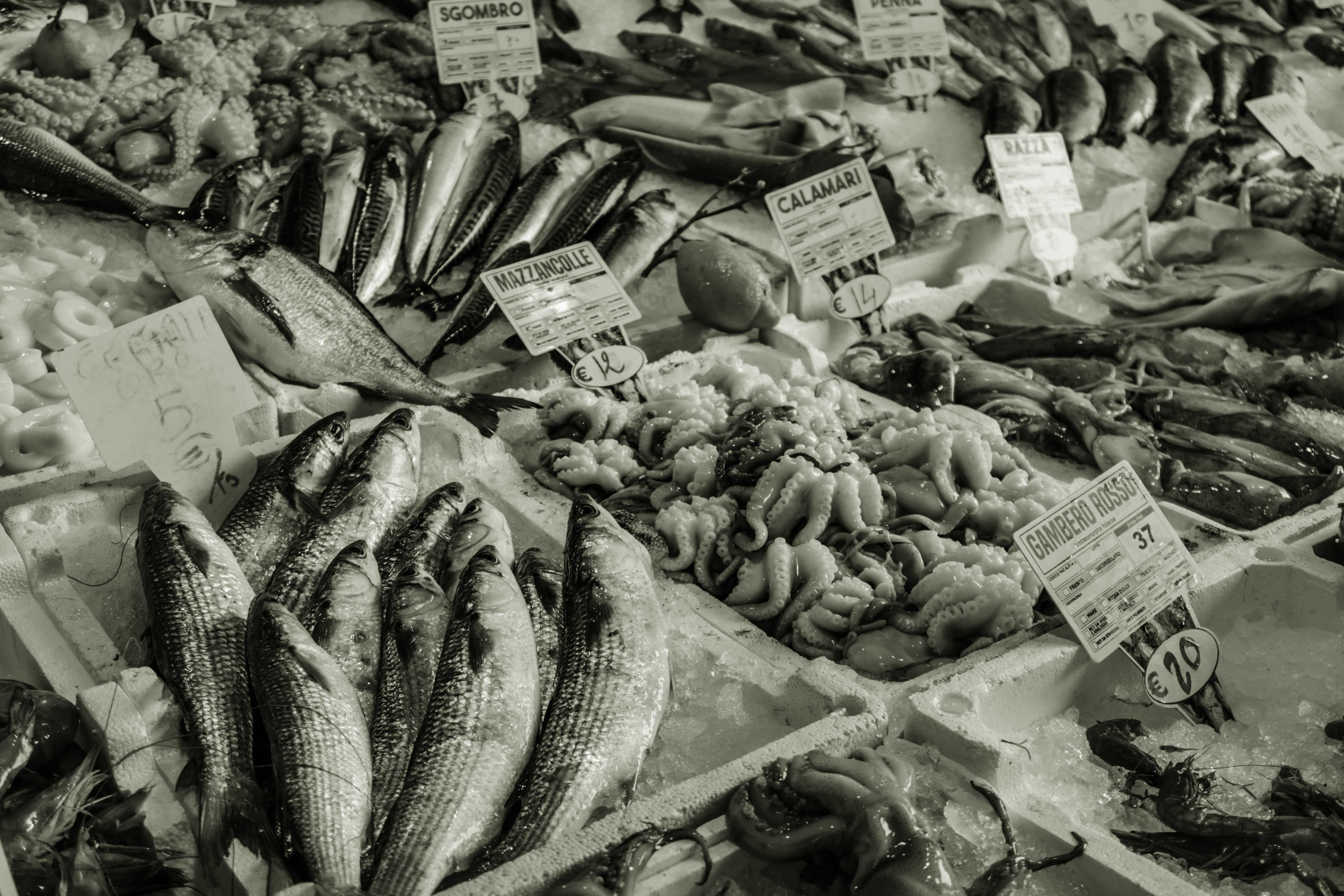 Frischer Fisch vom Markt