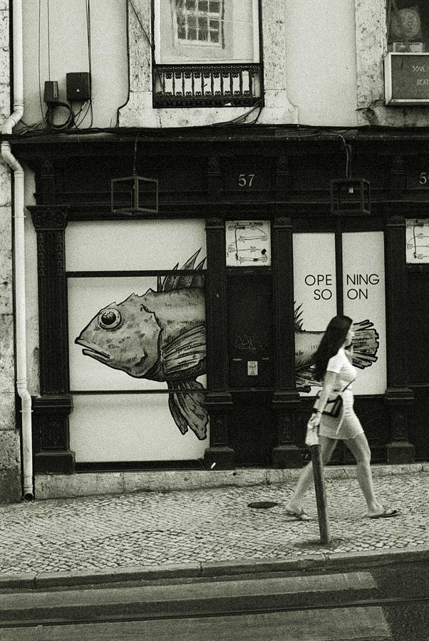 Fischladen in Portugal