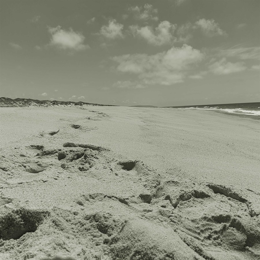 Strand in Portugal